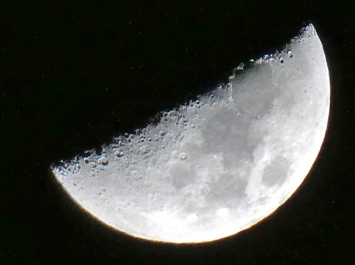 Alan Lees tweet media