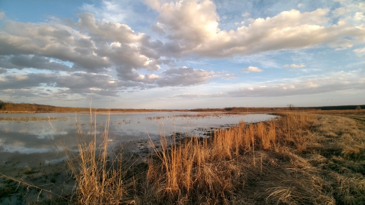 On #WorldWetlandsDay, <a href="/MDC_online/">MO Conservation</a>'s Frank Nelson will present "Wonderous Wetlands," a perspective on Missouri's wonderous wetlands and their conservation needs. See you at the Watershed Center on Friday, February 2nd, at 7:30am!