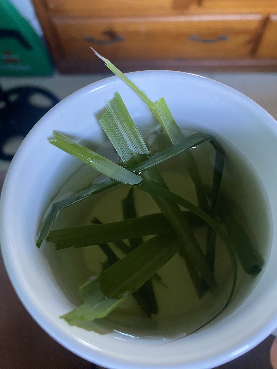 DpFifty's tweet photo. #Fevergrass
#bushtea https://t.co/TmM9Ek3nVT