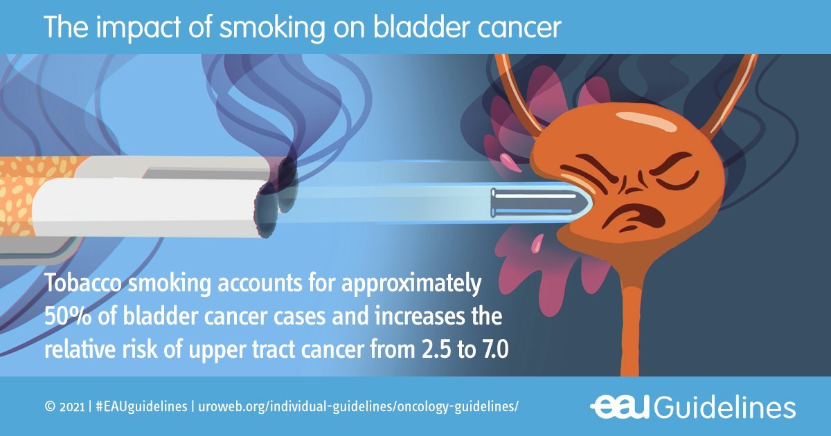 DMDavisDNP's tweet photo. Powerful #image about #smoking &amp; #bladder #cancer #risk 
#fightcancerinallcolors https://t.co/PUV2hcpLoL