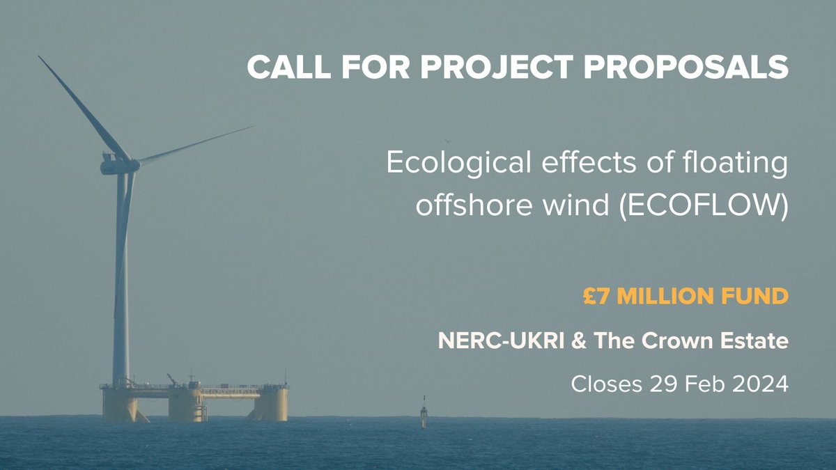 ECOWind (@ecowind_uk) on Twitter photo Exciting new #OffshoreWind research programme!
Jointly funded by <a href="/NERCscience/">Natural Environment Research Council</a> & <a href="/TheCrownEstate/">The Crown Estate</a>, the call for project proposals for the Ecological Effects of Floating #OffshoreWind Infrastructure #research programme (ECOFlow) is now live. (1/2) Exciting new #OffshoreWind research programme!
Jointly funded by <a href="/NERCscience/">Natural Environment Research Council</a> & <a href="/TheCrownEstate/">The Crown Estate</a>, the call for project proposals for the Ecological Effects of Floating #OffshoreWind Infrastructure #research programme (ECOFlow) is now live. (1/2)