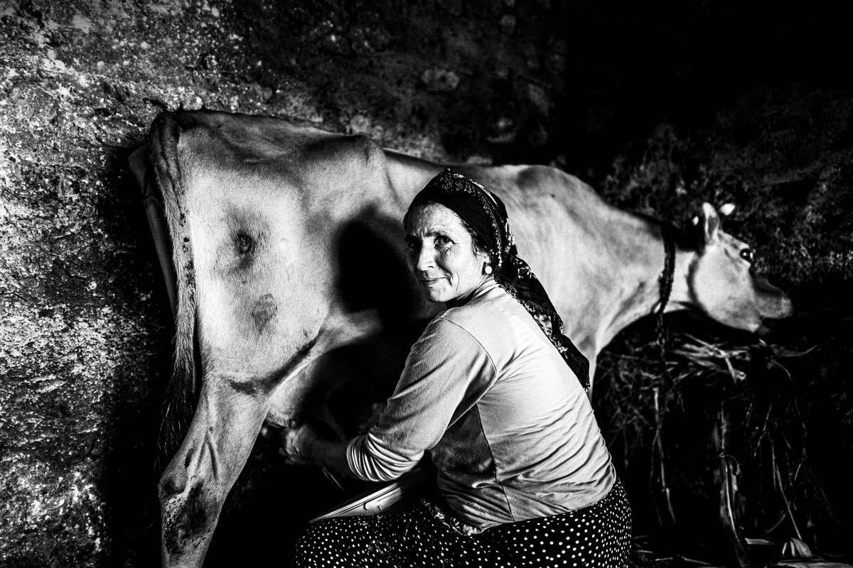 tatakis81's tweet photo. 📸 Exploring Trabzon: Tracing My Pontic Roots and Heritage

🌐 Read the article here: https://t.co/g2BYenbQ7Z

#Trabzon #turkey #blackandwhitephotography #leicacamera #PonticHeritage #CulturalOdyssey #ExploreTrabzon https://t.co/IZoLD7CPEQ