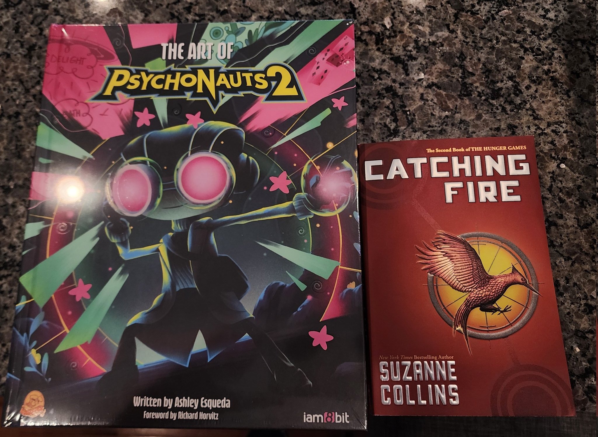 Punkdefied 🔜 DICE on X: Omfg I had no idea the Psychonauts 2 Art Book was  going to be this BIG!! @AshleyEsqueda and @iam8bit went hard AF! (Paperback  Hunger Games book for
