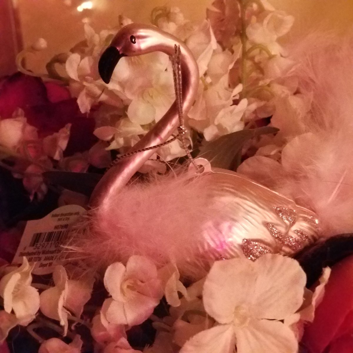 Domestically Challenged tweet media