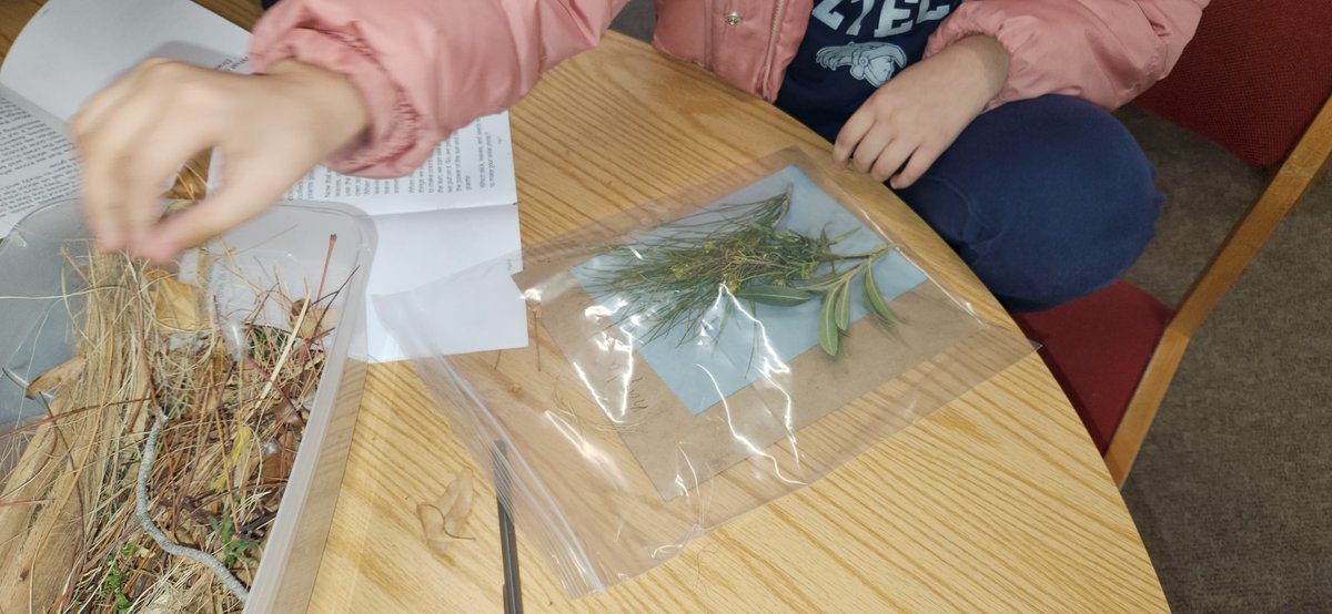 Lancaster Aztec Librarian (@azteclibrarian) on Twitter photo Creative Coll. Sunlit Safari for our GT students. One activity was making a photograph of the plants using the sun. The students had a lot fun learning about plants. <a href="/LancasterAztecs/">Lancaster Elementary</a> <a href="/erodriguez0811/">Evonne Rodriguez</a> <a href="/zeila_wittke/">Zeila Armendariz Wittke</a> <a href="/YISDgiftED/">Ysleta Gifted & Talented Program</a> Creative Coll. Sunlit Safari for our GT students. One activity was making a photograph of the plants using the sun. The students had a lot fun learning about plants. <a href="/LancasterAztecs/">Lancaster Elementary</a> <a href="/erodriguez0811/">Evonne Rodriguez</a> <a href="/zeila_wittke/">Zeila Armendariz Wittke</a> <a href="/YISDgiftED/">Ysleta Gifted & Talented Program</a>