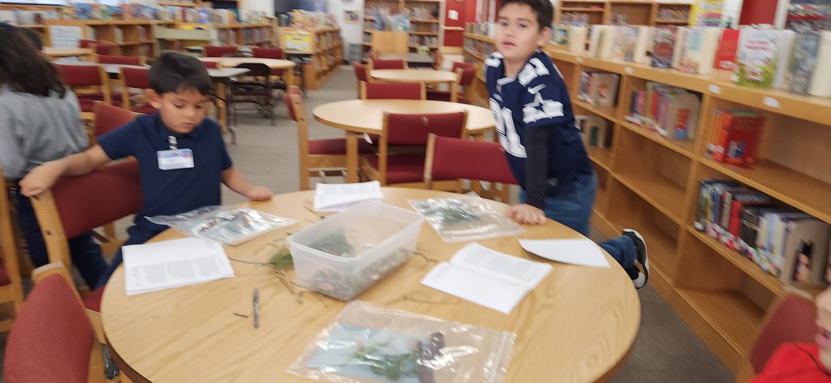 Lancaster Aztec Librarian tweet media