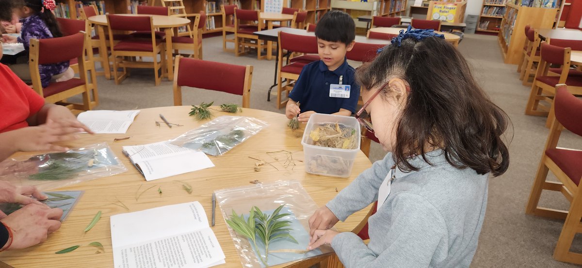 Lancaster Aztec Librarian tweet media