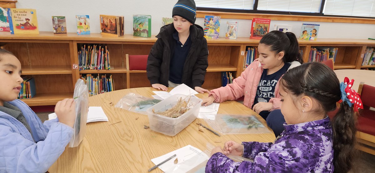 Lancaster Aztec Librarian tweet media