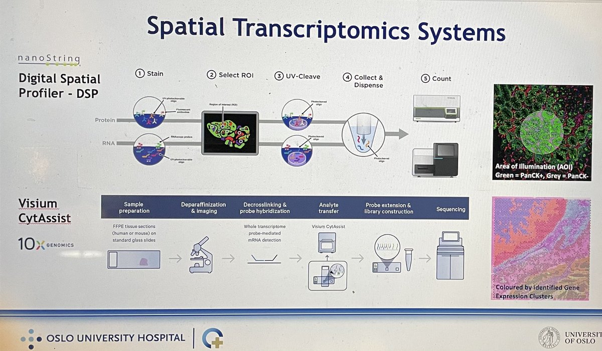 OSLOmicsCore's tweet image. @SusanneLorenz77 presenting our research infrastructure and services in the field of high-throughput multi-omics @NbsOslo today 🧬💻