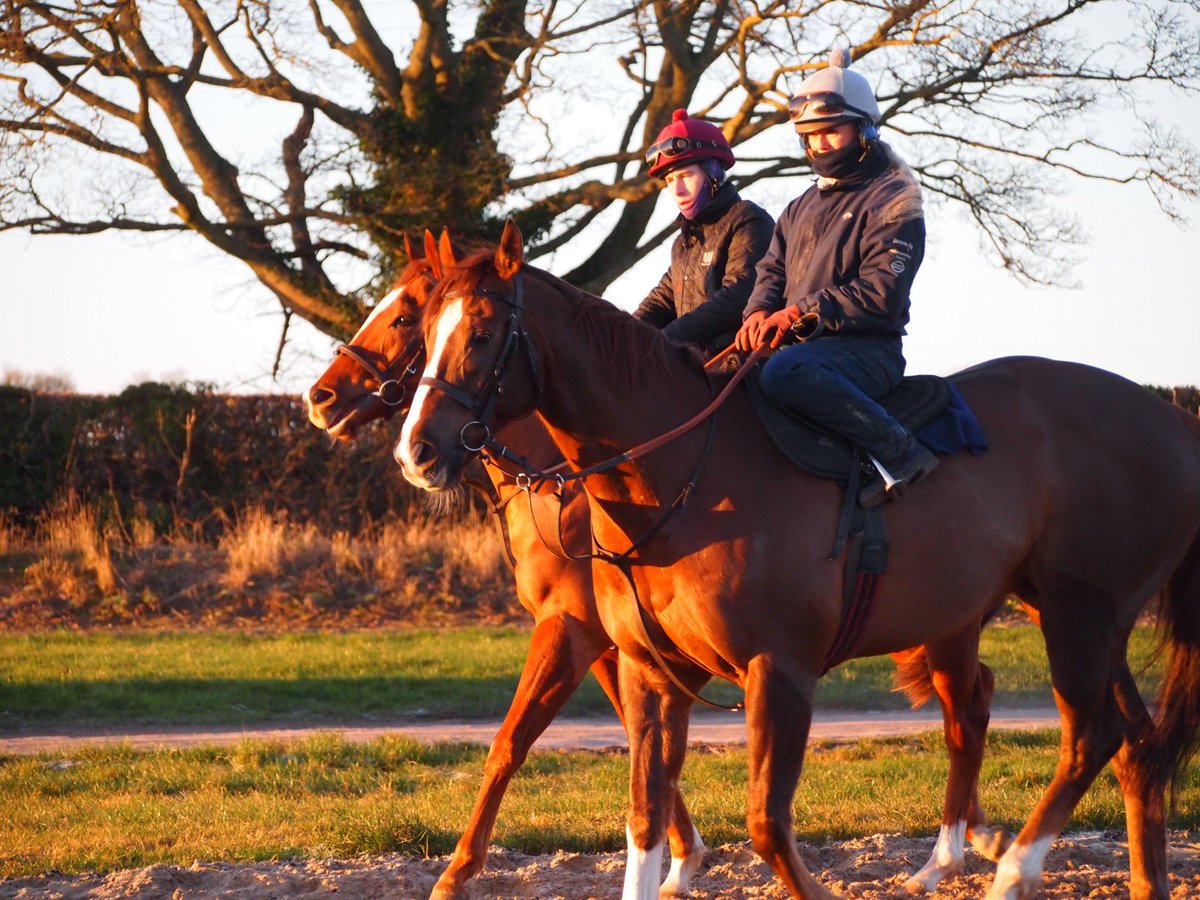 Dream team, Athollblair Boy & @FMcmanoman (pictured at home earlier this week) win the last at @NewcastleRaces this evening - what a legend this horse is! 🏆 #teamtinkler