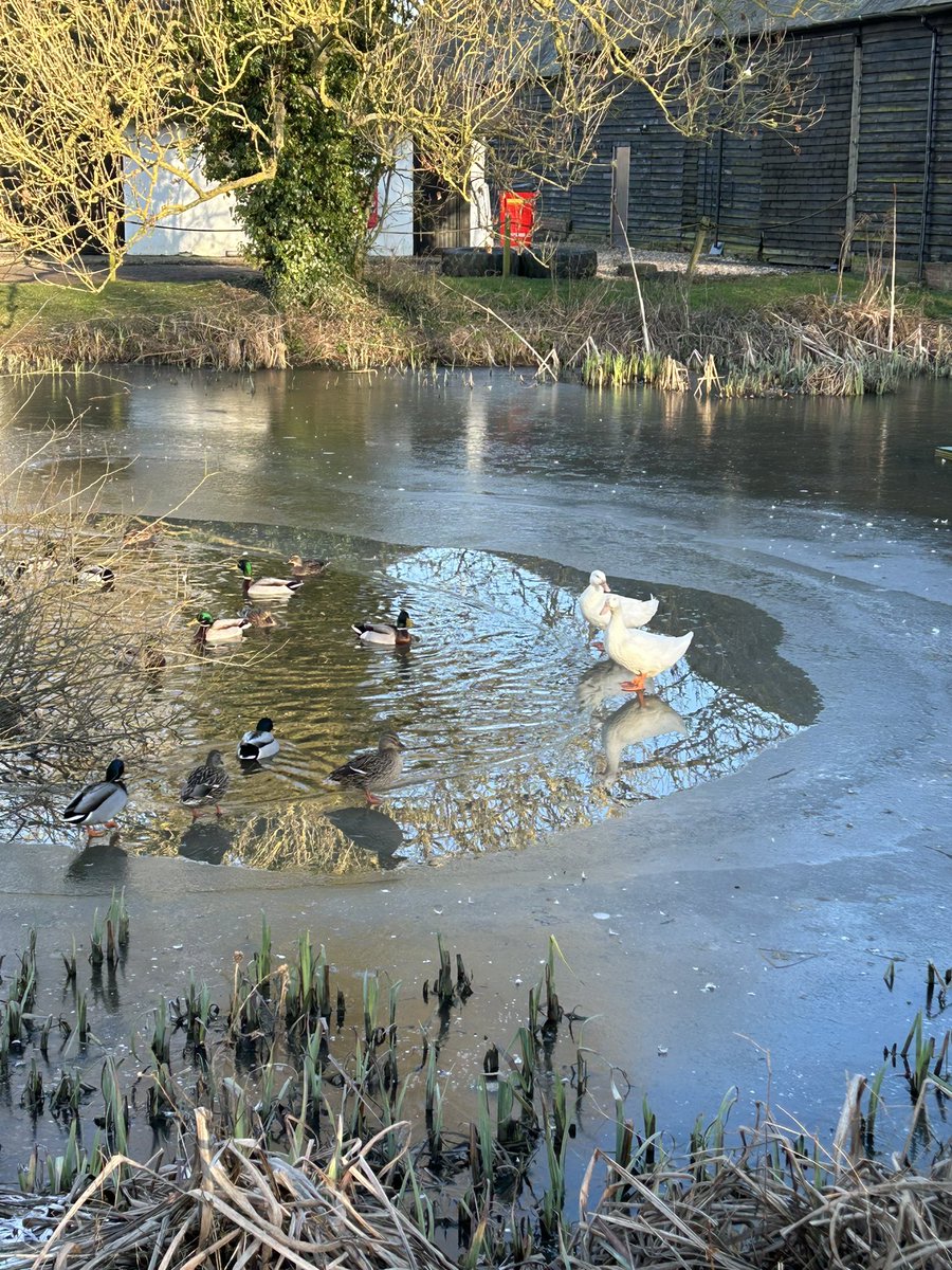 Bev Summerhayes tweet media