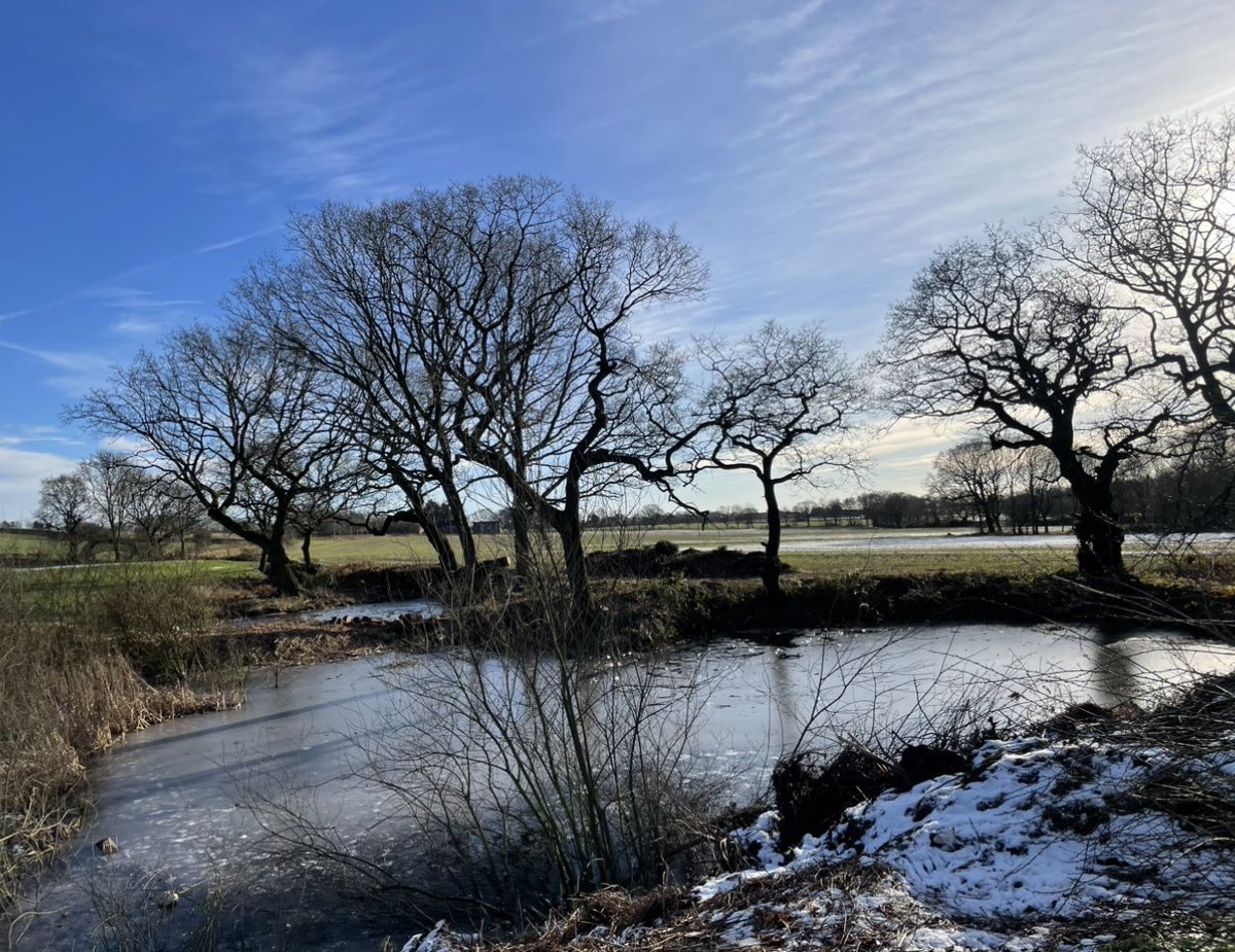 The 4th pond project is well under well, phase on complete.