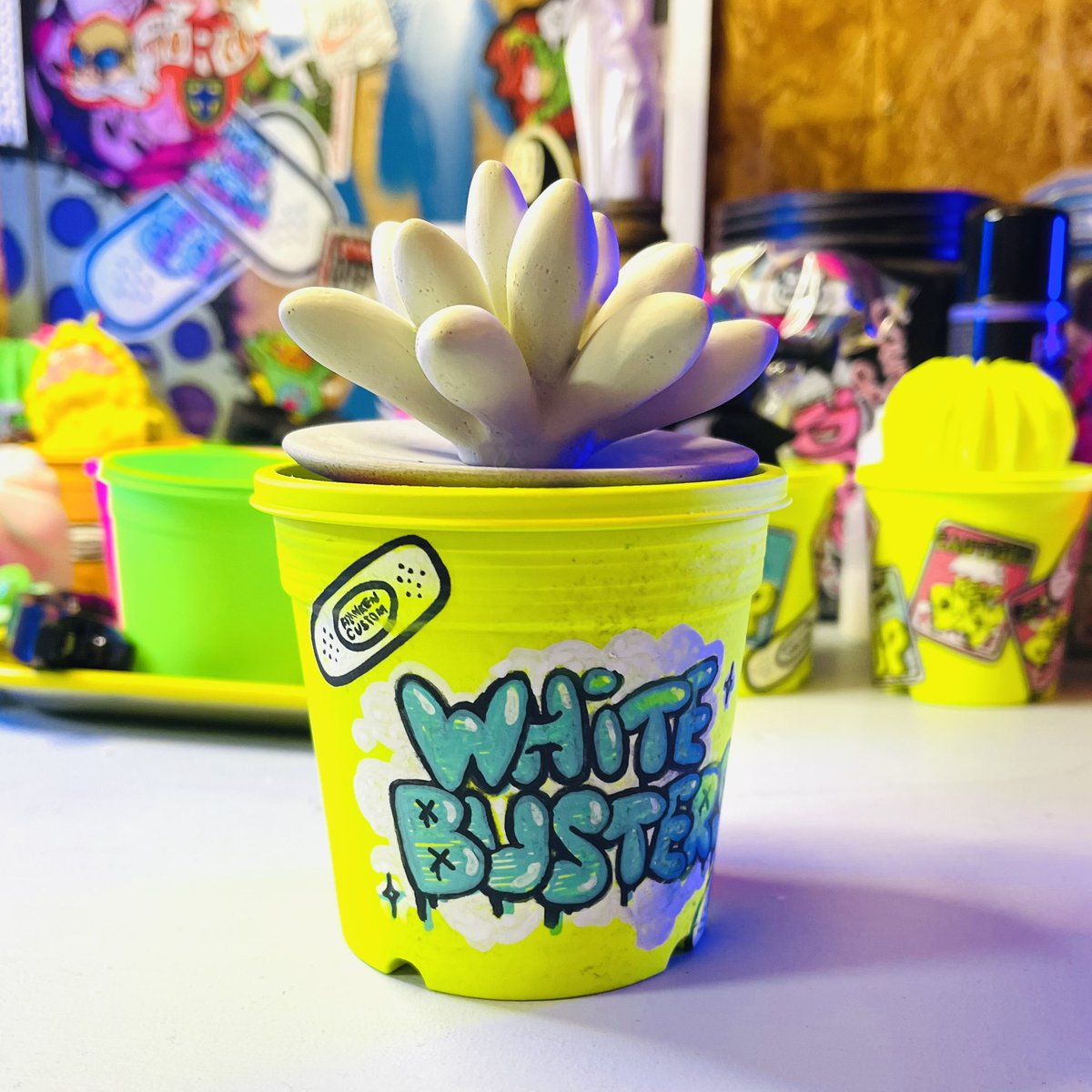 FrankenCustom's tweet image. ディフューザー完成🧟‍♂️
for WHITE BUSTERS👻
@ggg62137658 

#多肉植物 #다육식물  #succulent  #plants  #echeveria  #リメ鉢  #franken_custom   #custom #BANSOCO #ばんそーこー