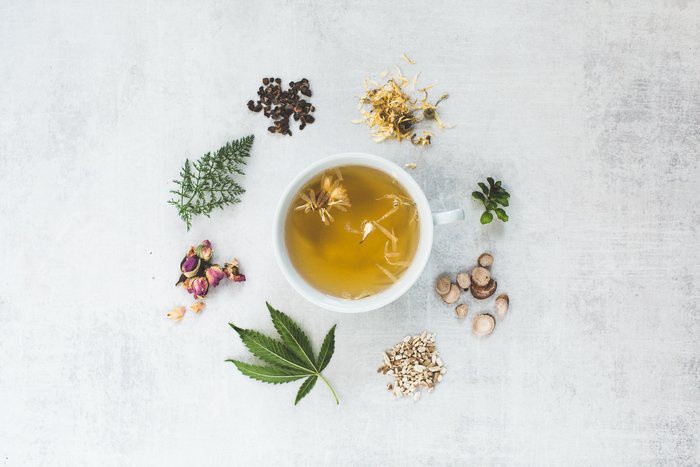 PamelaTorontoND's tweet image. In modern times, herbal medicine is a popular and effective form of complementary and alternative medicine (CAM).

Read the full article: The Power of Herbal Medicine: Ancient Wisdom Meets Modern Science
▸ lttr.ai/ANQX9

#HealingPower #BotanicalMedicine