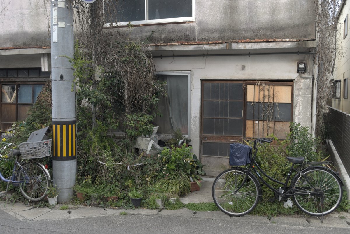 archillect's tweet image. 