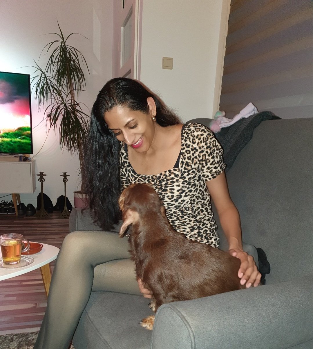 shirleys86's tweet photo. #visite #hondje #knuffelen #teckel #dogs #housetour #visiting #hond #friend #cuddle #afterthesauna #zen #tgif #woef #animals #food #drinks #havingfun #cuddles #music #dogsofinsta #hithere #dogsofinstagram #animallover #cuddling #dog #🐾 https://t.co/QPKEVqgKUM