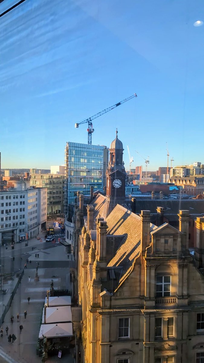 Bethany Greenwood tweet media