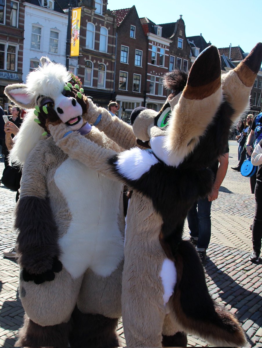 horse_hazel's tweet photo. ' See, we are nice to each other 😌! ' 
Happy #FursuitFriday ✨

🐶🐴 @Fenneclicious @horse_hazel
📍@ Delft https://t.co/aeafBecX6l