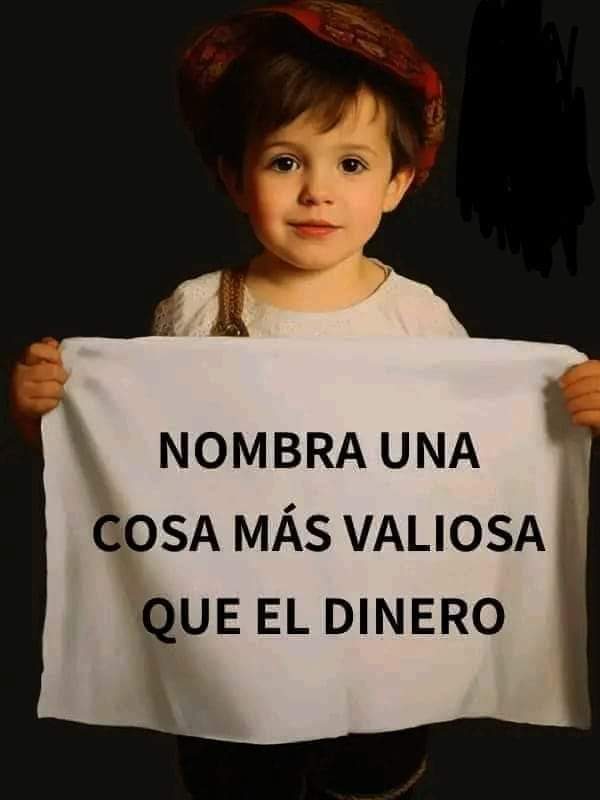 Suricato 💎 tweet media