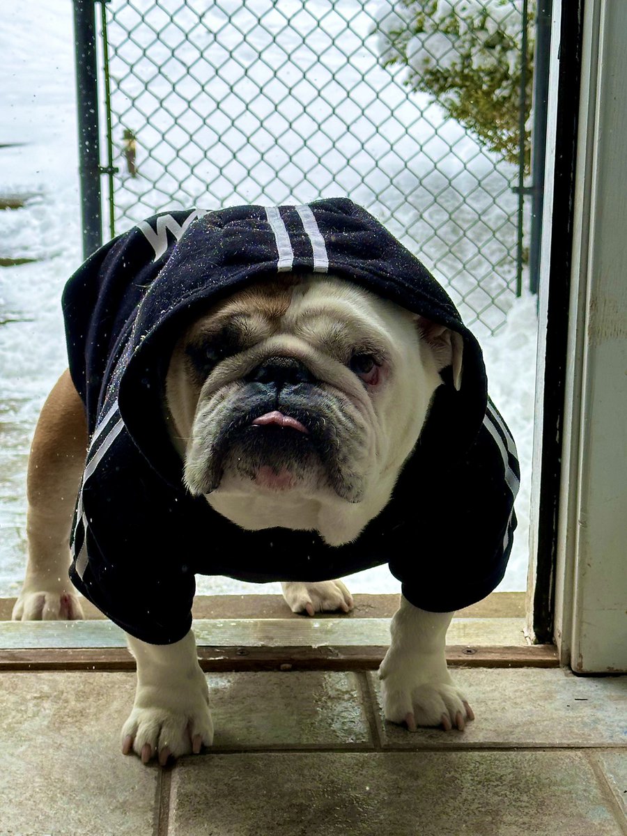 My Mom calls me the O.G. Bullie when I wear my hoodie