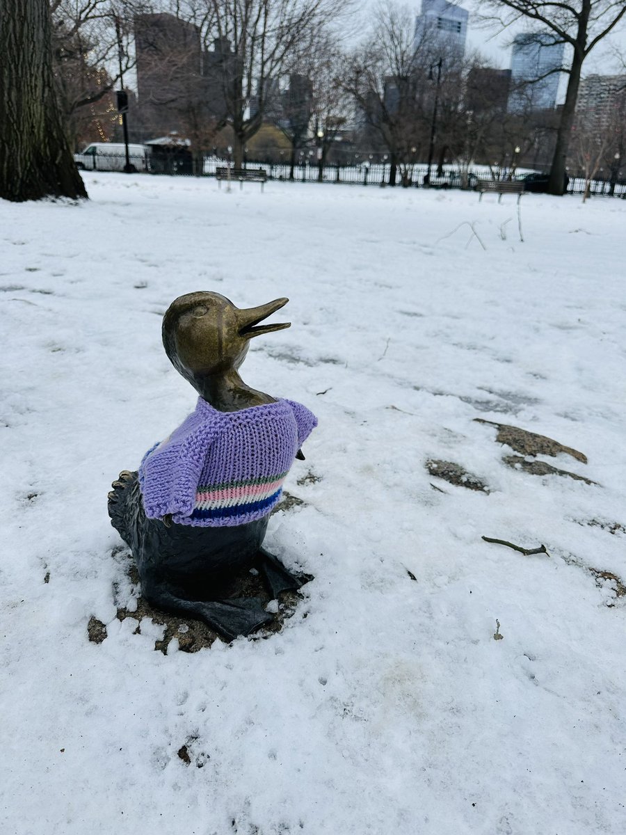 MartinaCurtin's tweet image. Day 19 #100Daysofwalking 
Happy Friday from a chilly Boston! 🥶🥶🥶
#Weekendjoy #Brrrr #MentalHealthAwareness 
@mnamheiricea @NewstalkFM @NTBreakfast