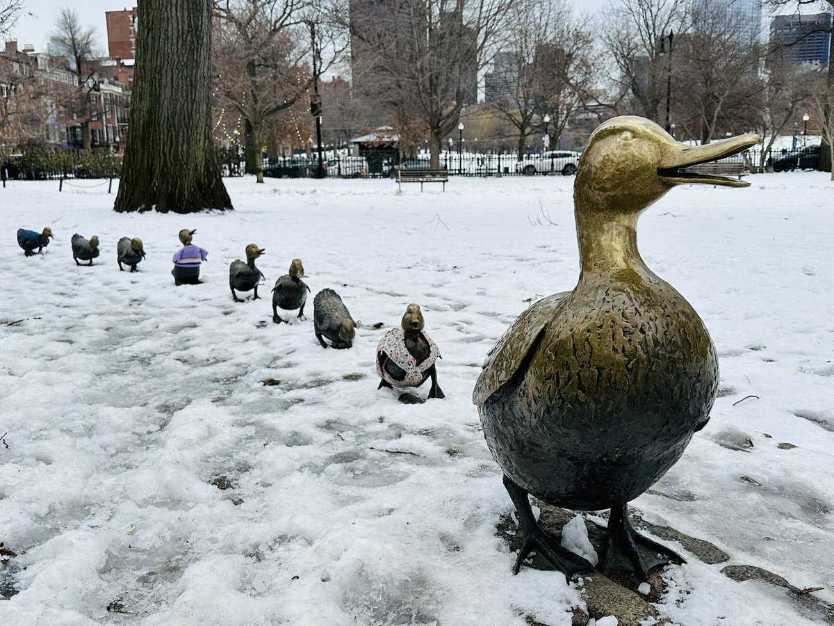 MartinaCurtin's tweet image. Day 19 #100Daysofwalking 
Happy Friday from a chilly Boston! 🥶🥶🥶
#Weekendjoy #Brrrr #MentalHealthAwareness 
@mnamheiricea @NewstalkFM @NTBreakfast