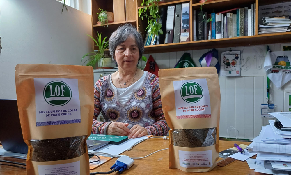 Semanario Local tweet media