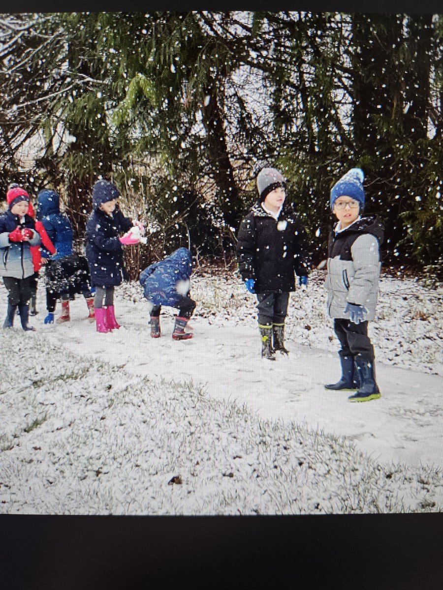 St Mary & St Michael's Catholic Primary School tweet media