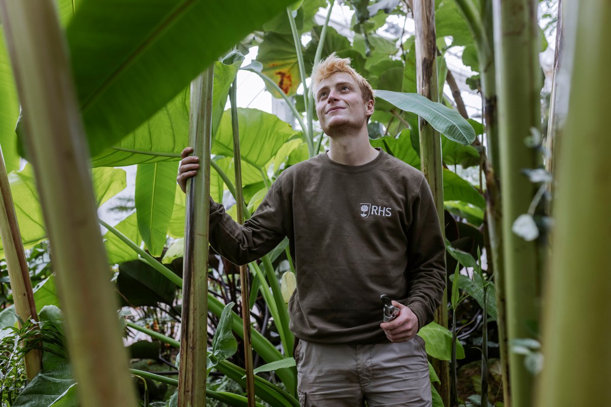 Our free events for Horticulture Careers Discovery Week (22-26 Jan) cover a whole range of horticultural career paths 👇

🌱 Garden design, plant health, edibles 
🌱 Community gardening, horticulture therapy, arboriculture
🌱 Horticulture in media

rhs.org.uk/discoveryweek