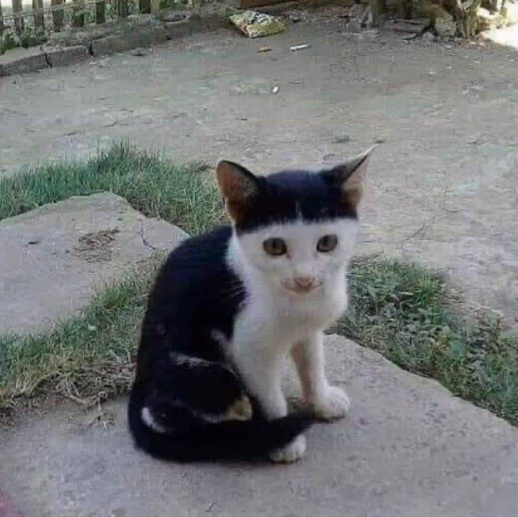 Tiene cara de que se toma toda la birra y no pone un peso