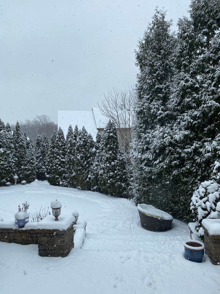 Due to the ongoing winter storm, we are closing our ACTEON North America office in NJ. However, our remote technical and customer support services are still available to assist you. You can reach out to us at 1-800-289-6367 or visit acteonportal.com for further assistance.