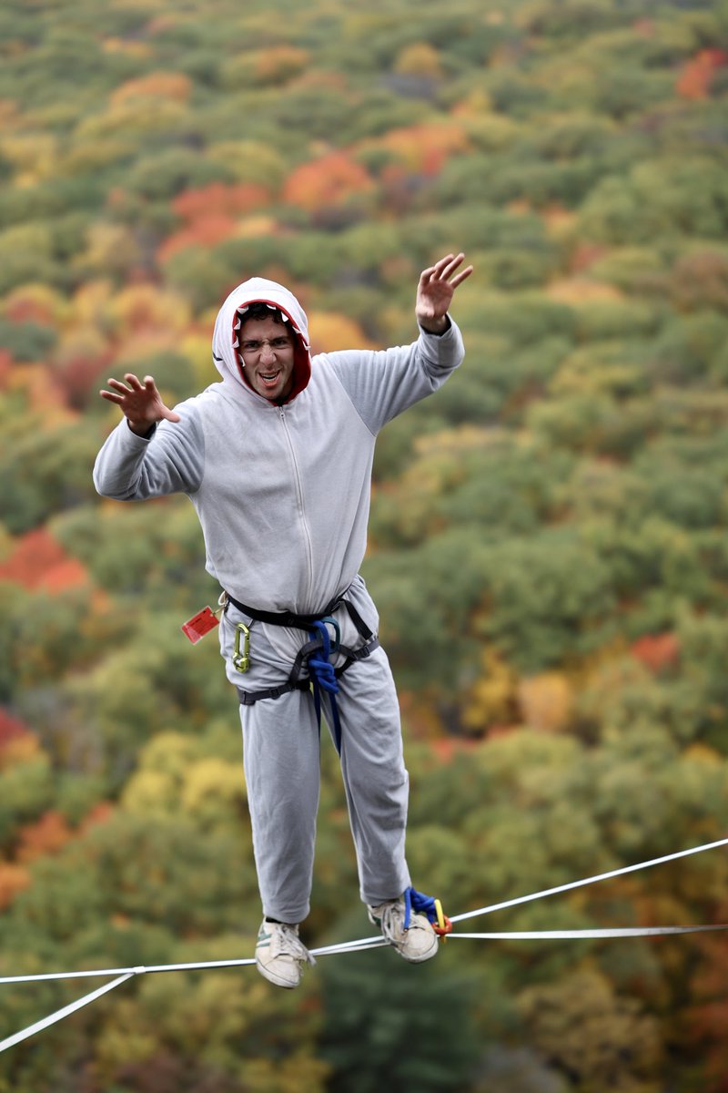 itsdavey tweet media