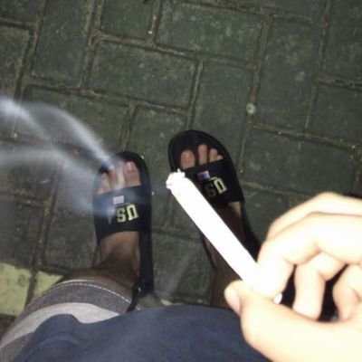 alejandra tweet media