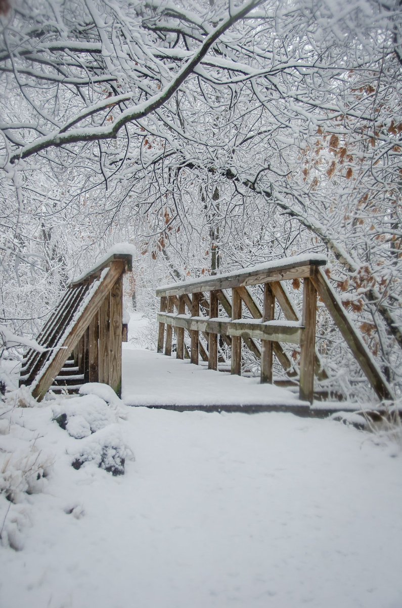 Lauren McDonagh-Pereira Photography TEZ/ETH tweet media