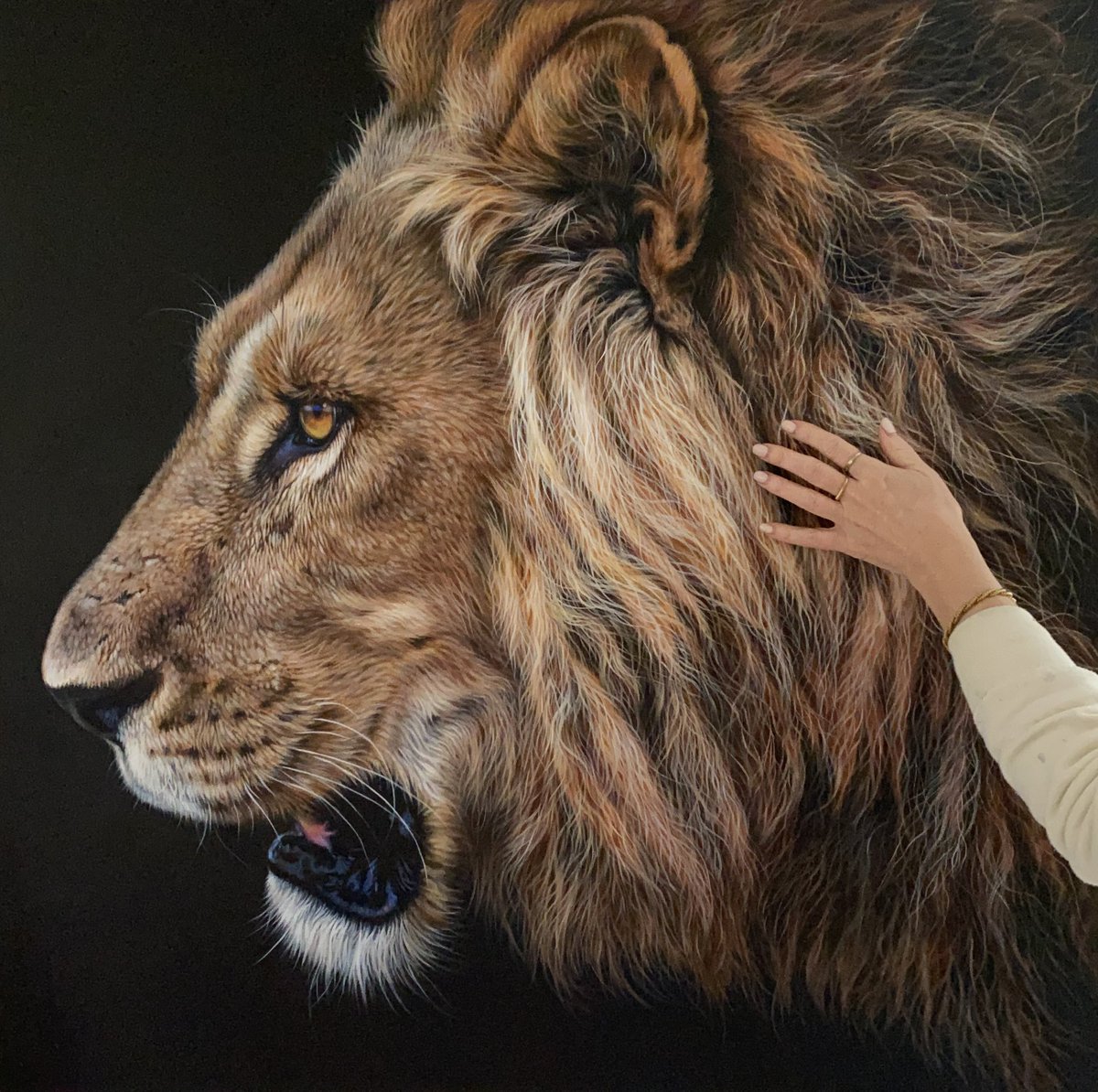Putting the last finishing touches to my latest male lion acrylic painting….hope you like him 🦁

(Sold)

julierhodes.com

#africanlion #lionart #bigcatart #wildlifepainter #realismartist #originalpaintings #artprocess #finishedart #artstudio #artcollectors