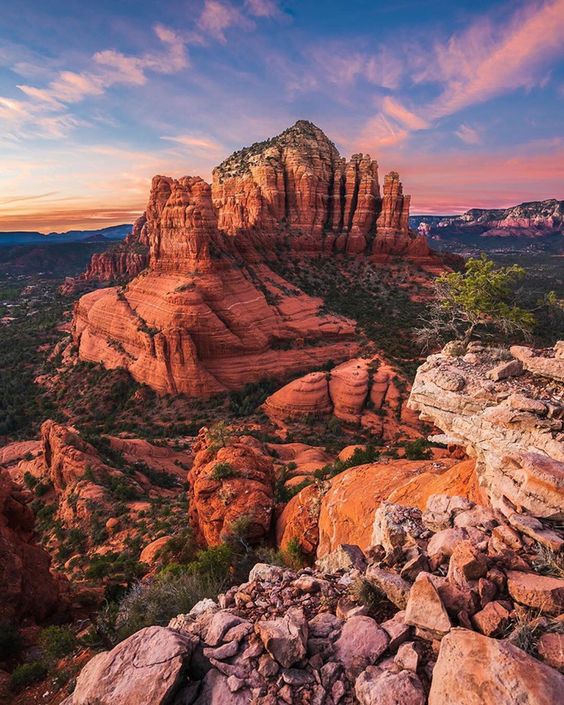 eduardo ramirez tweet media