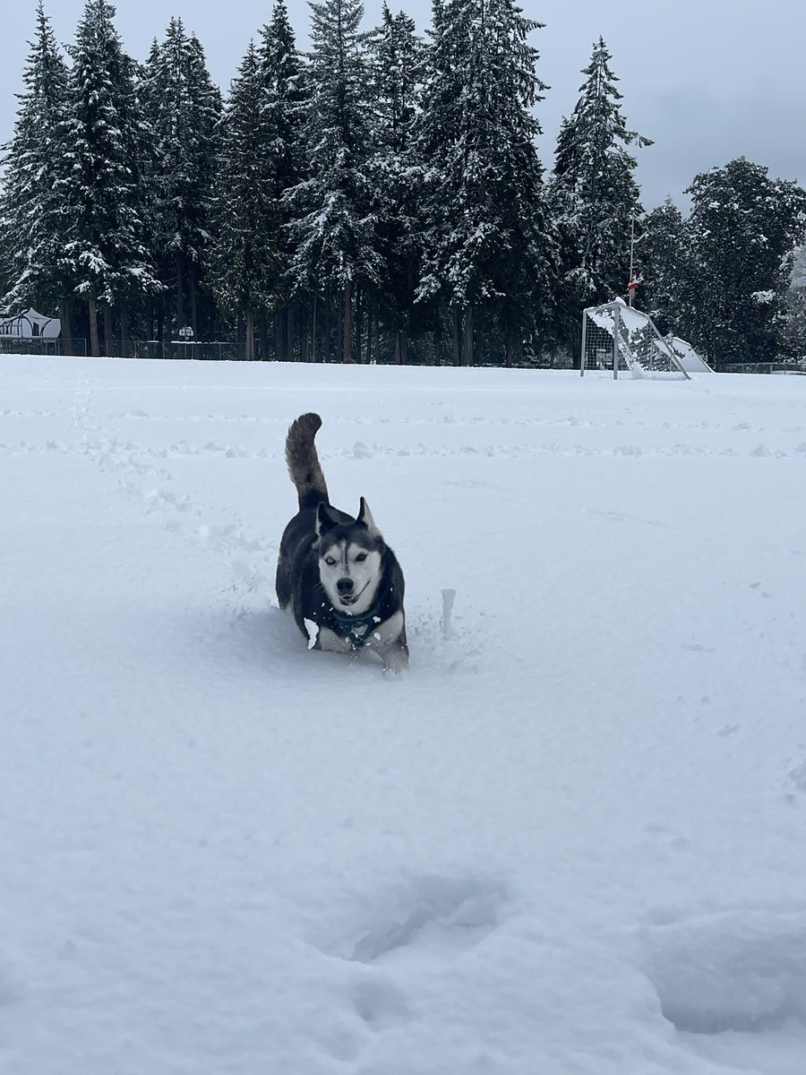 ⭐️ Starr Factor ⭐️ tweet media