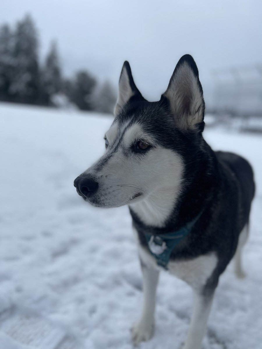 ⭐️ Starr Factor ⭐️ tweet media