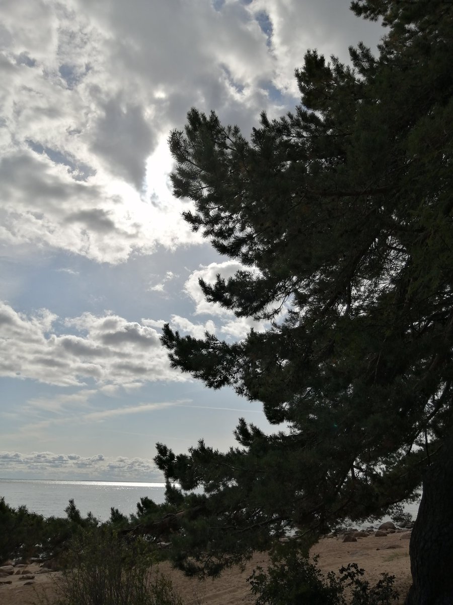 Baltic Sea youtube.com/@victoriaart99 T.me/cutecatsanddog Instagram.com/photosnature_v… #fridaymorning #NatureBeauty #naturelovers #NaturePositive #Walk #TwitterNatureCommunity #sea #Earth #beautiful #landscapephotography #VictoriaDay #baltic