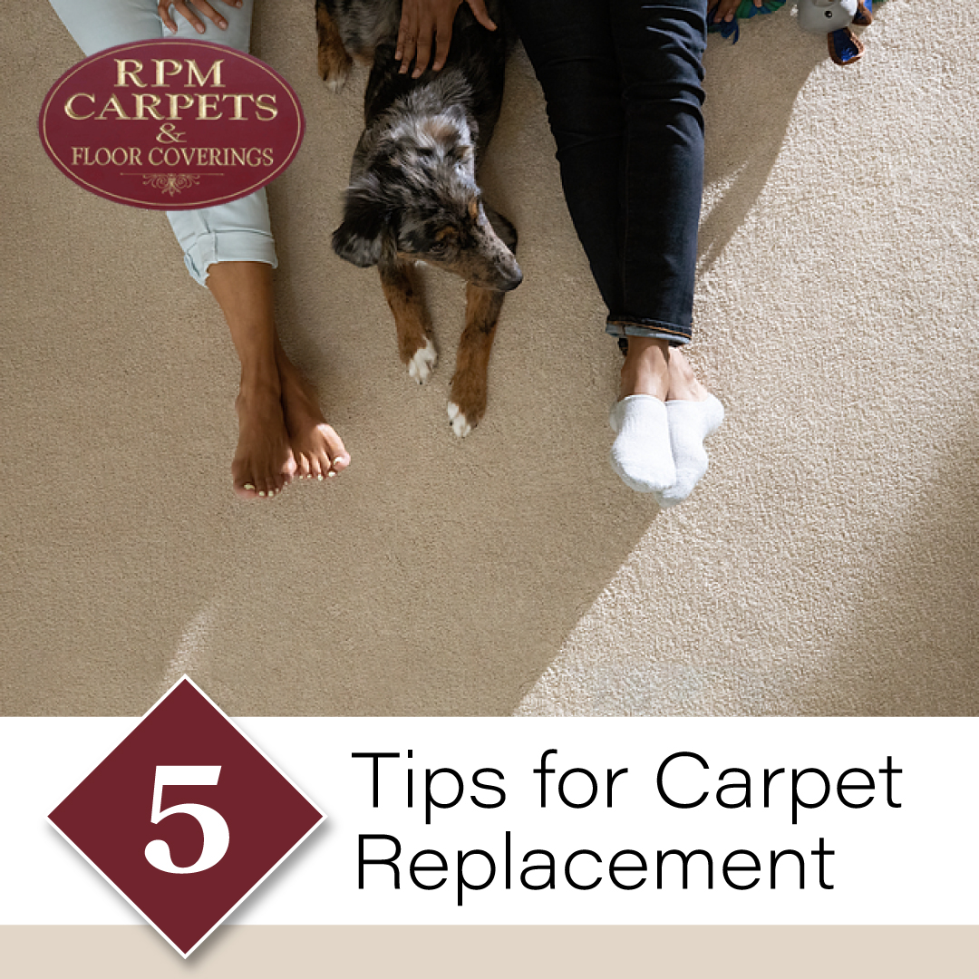 RPM_Carpets's tweet image. 5 tips to consider when choosing a new carpet:

1. Determine your carpet's purpose
 
2. Trust expert guidance
 
3. Bring samples home
 
4. Prepare for installation
 
5. Bring in our installers
 
Visit RPMCarpets.com to get started.
 
#RPMCarpets #CarpetTips #Carpet