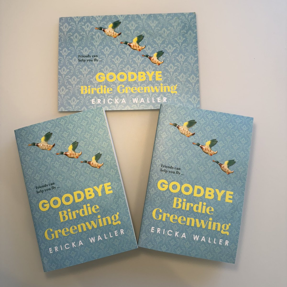 Feeling very spoilt - not one but two copies of #GoodbyeBirdieGreenwing by @ErickaWaller1. Can’t wait to read one and share the other. Thank you @Millsreid11 @DoubledayUK  - it is out on 18th April