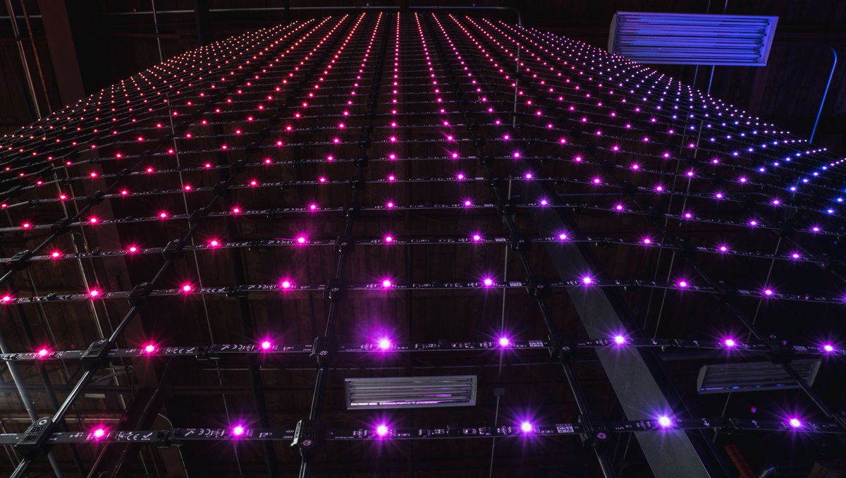 tls_lighting's tweet image. One of the advantages of our TLS, which stands for Tension LED System, is that it is easy to assemble and maintain. Also, the spacing between LEDs on boards can be customized according to the lighting and diffusion specifications of your project. 

buff.ly/3N17MrC