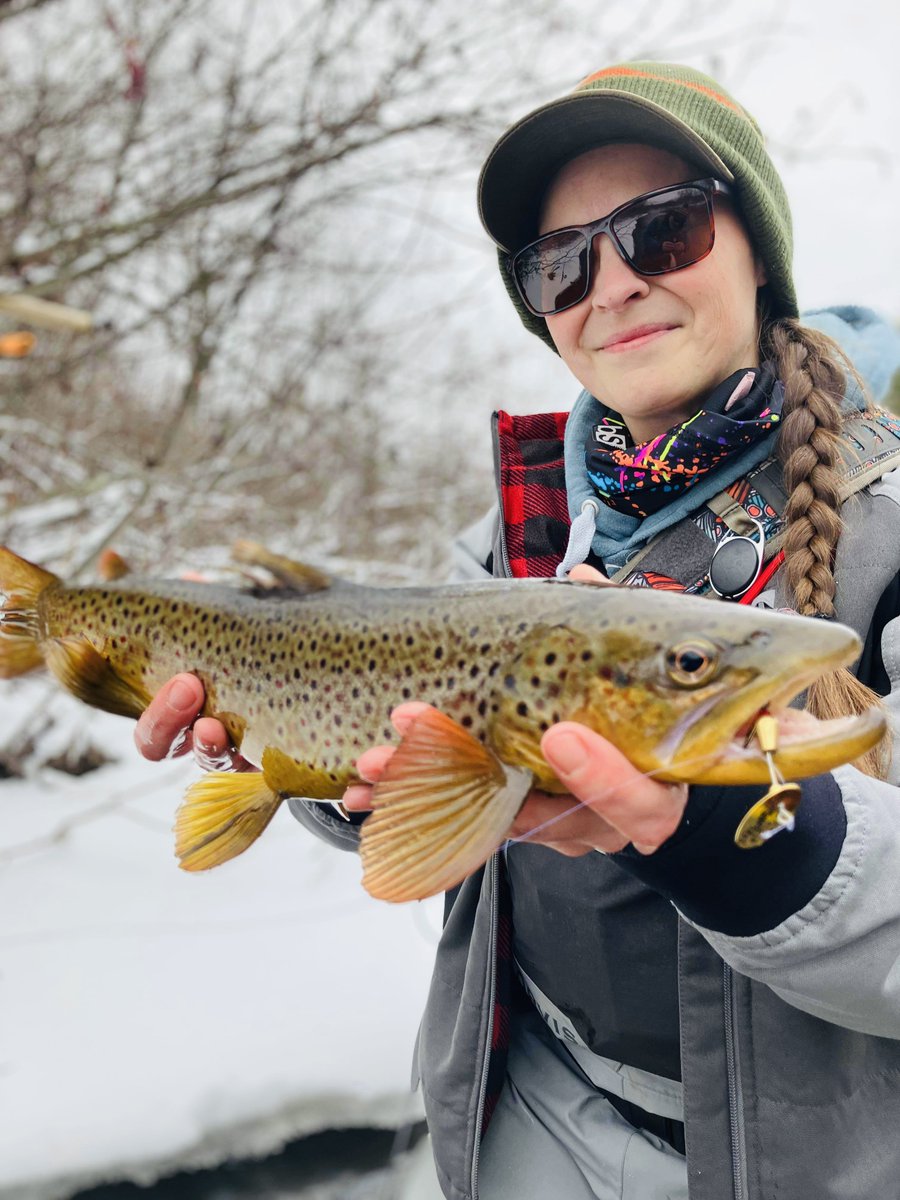 MeppsSpinners's tweet photo. This brown trout didn't like Amber Geno's Brown Trout patterned XD hanging around it's swimming hole! #MeppsCatch https://t.co/oObbaCc16d