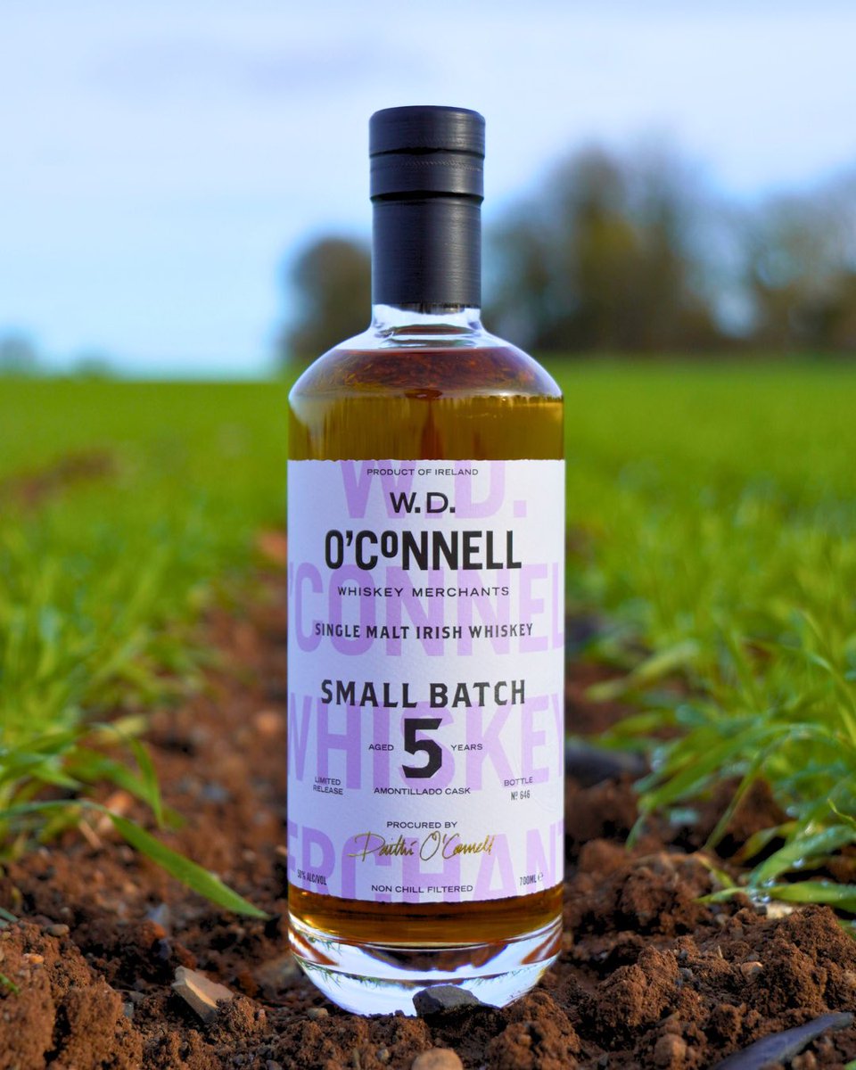 W.D. O’Connell Whiskey Merchants tweet media