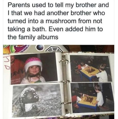 WholesomeMeme's tweet image. 