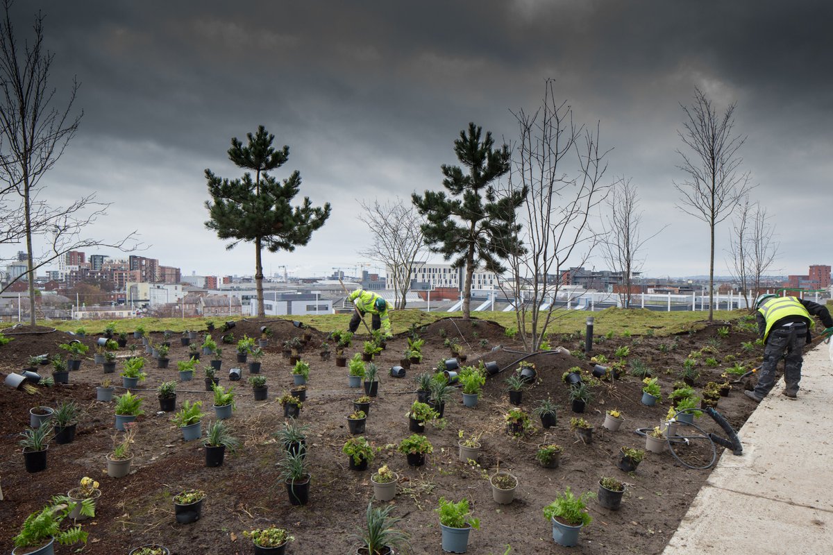 Did you know❓ #ourchildrenshospital is on a 12-acre campus. 4 acres is designated to landscaping, gardens and nature for patients, families and staff to enjoy. Here you can see that landscaping is well underway and will add colour and nature to the hospital. 📷@neilwarner22