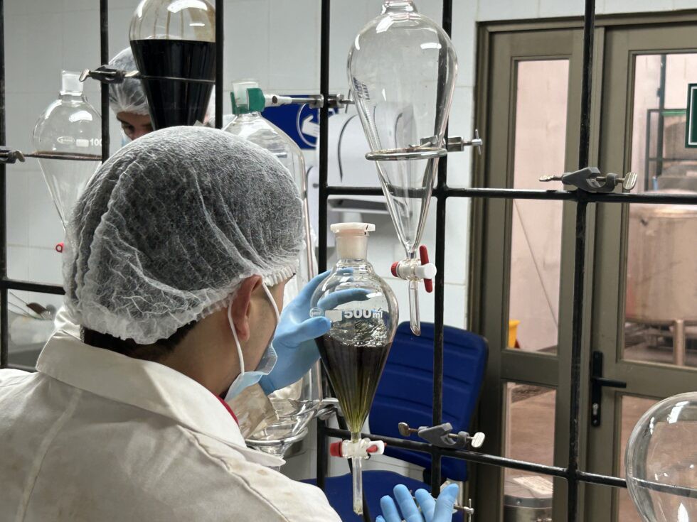 Nuestro trabajo en Kimun Biotec con el Boldo, el Palo Negro y el Culén representa un avance significativo en el campo de la medicina natural.

Puedes leer más aquí: 👉 lttr.ai/AL35x

#MedicinaNatural #KimunBiotec #DescubreCómo #PaloNegro