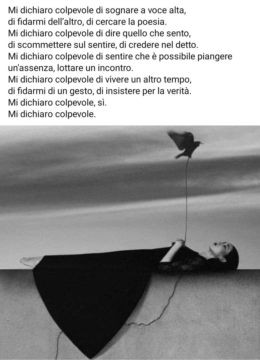 #SalaLettura #LaFedeltàDeiSogni
📷 Noell Oszvald

   'Mi dichiaro colpevole' ❣️
    Araceli Mariel Arreche