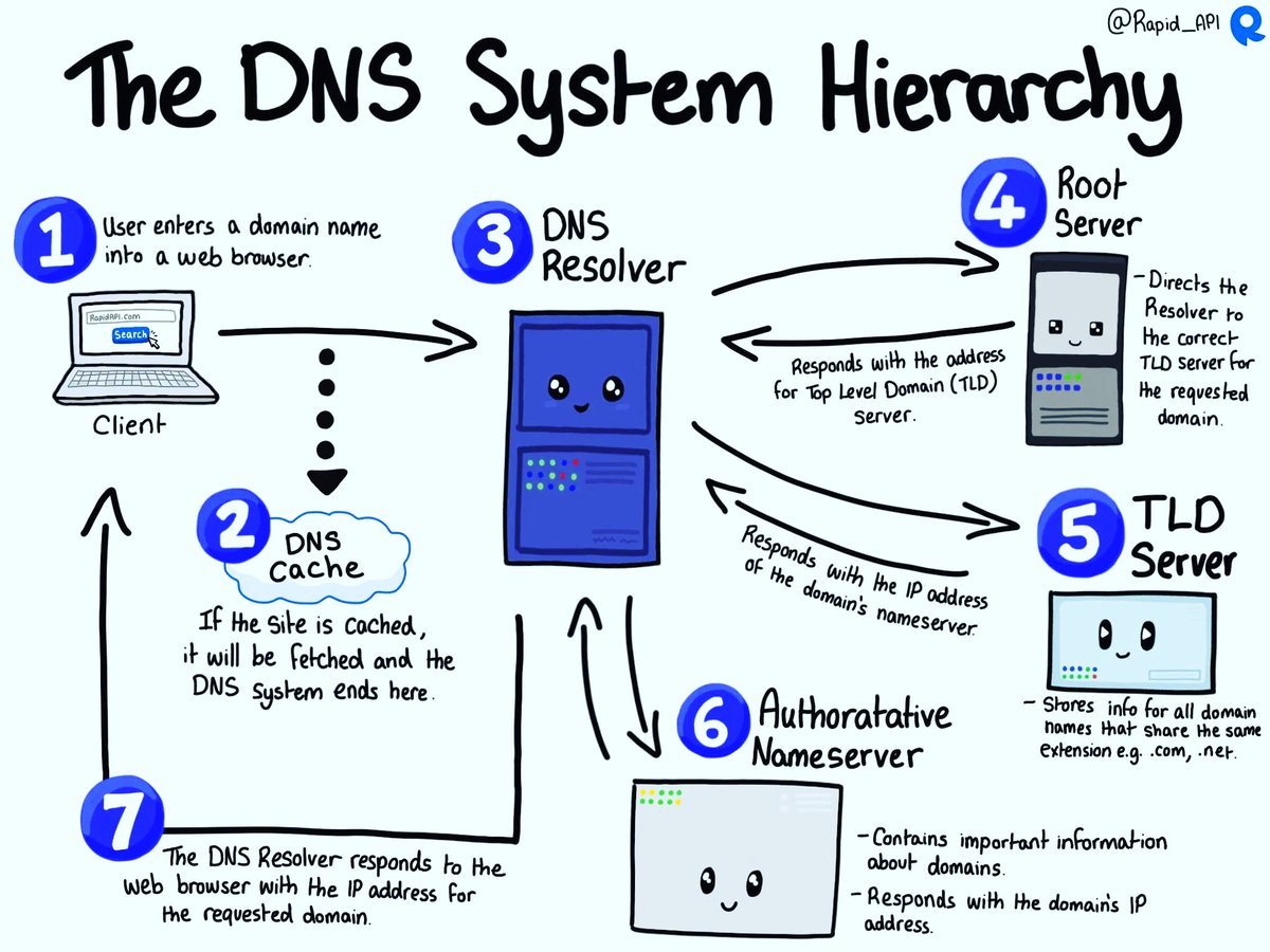 SecurityTrybe's tweet image. The DNS System Hierarchy