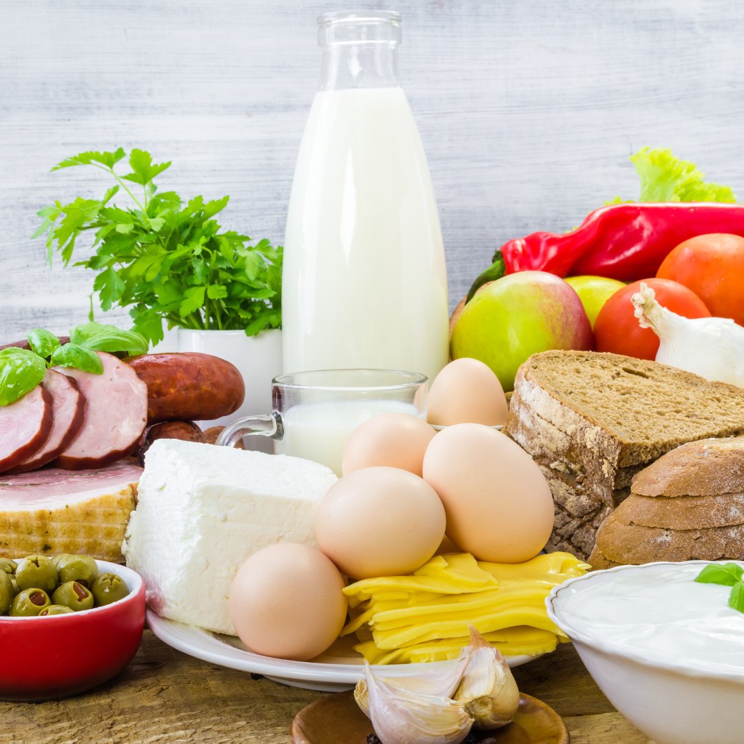 LionProject tweet media